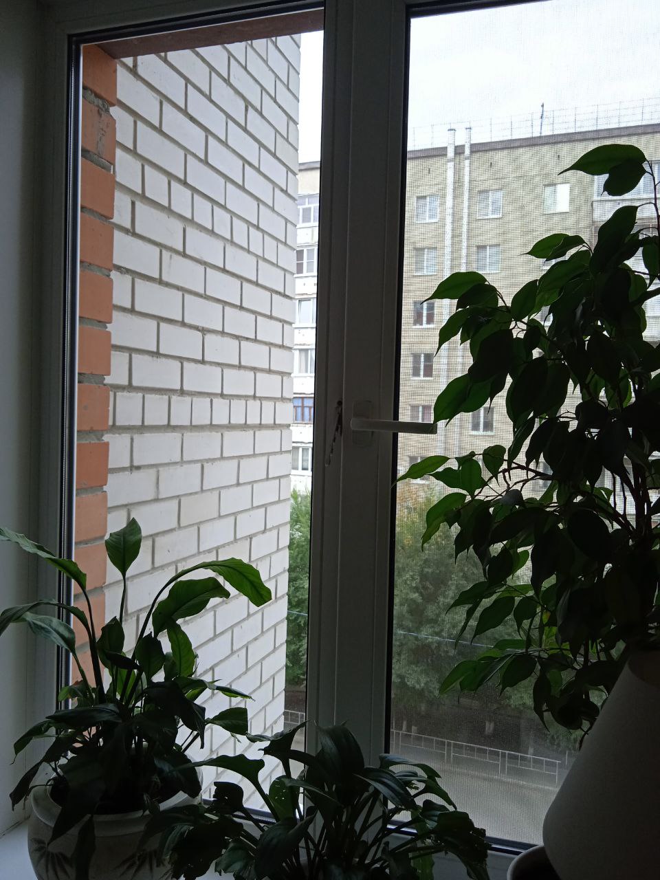 https://omsk.delaem-okna.ru/storage/app/uploads/public/63f/332/8c0/63f3328c0408d690824237.jpg