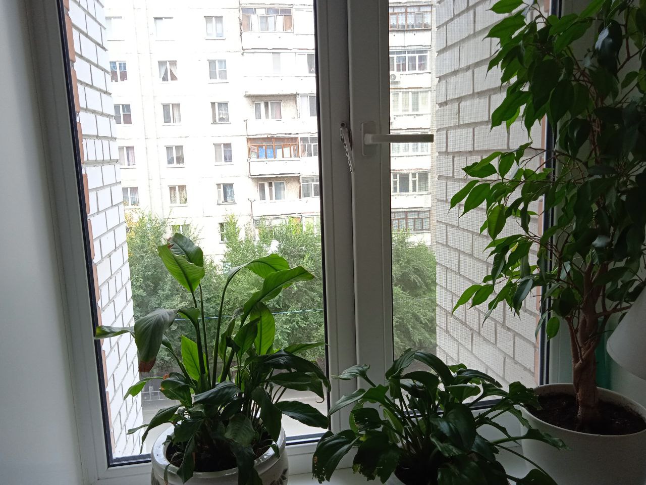 https://omsk.delaem-okna.ru/storage/app/uploads/public/63f/332/8c0/63f3328c0d6f7867060515.jpg